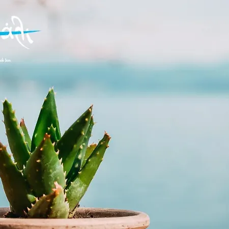 Appartement Akrogiali Restaurant Xiropigado