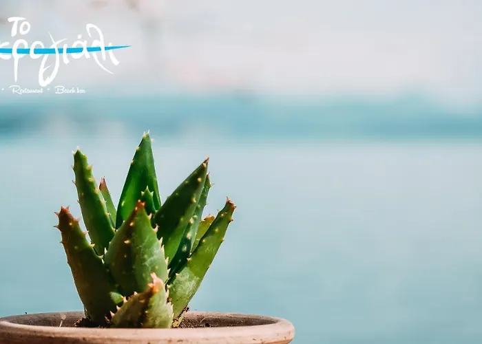 Apartment Akrogiali Restaurant Xiropigado