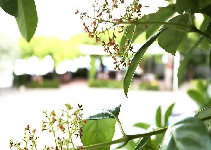 דירה Akrogiali Restaurant